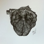 Foto 3_s