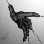 Foto 5_s